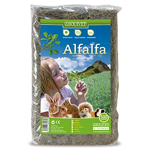 ARQUIVET Alfalfa para roedores 500 gr - Comida para Conejos, cobayas, Hamsters,...