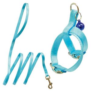 ᐈ CORREAS y Arnés para COBAYAS - 【 PARACOBAYA.ORG 】